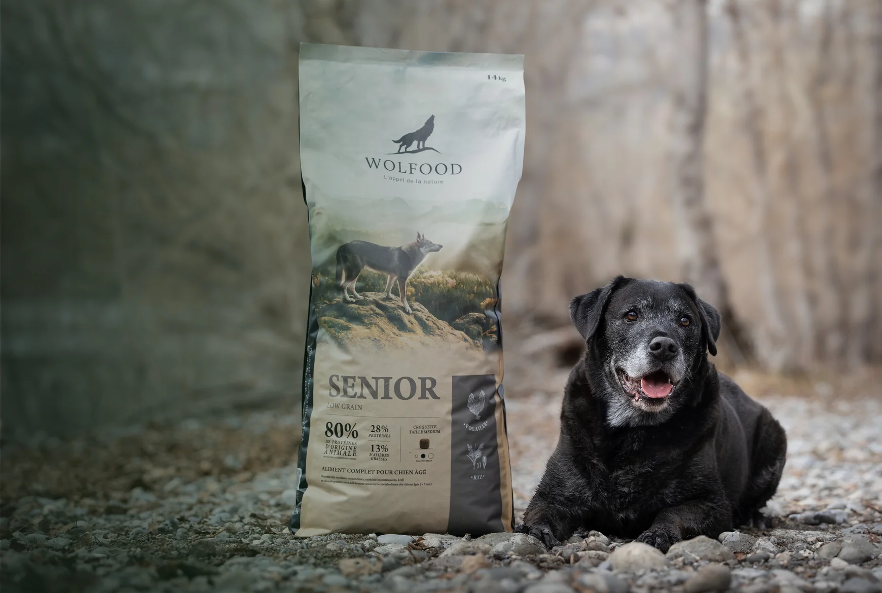 Welcome to Our Store